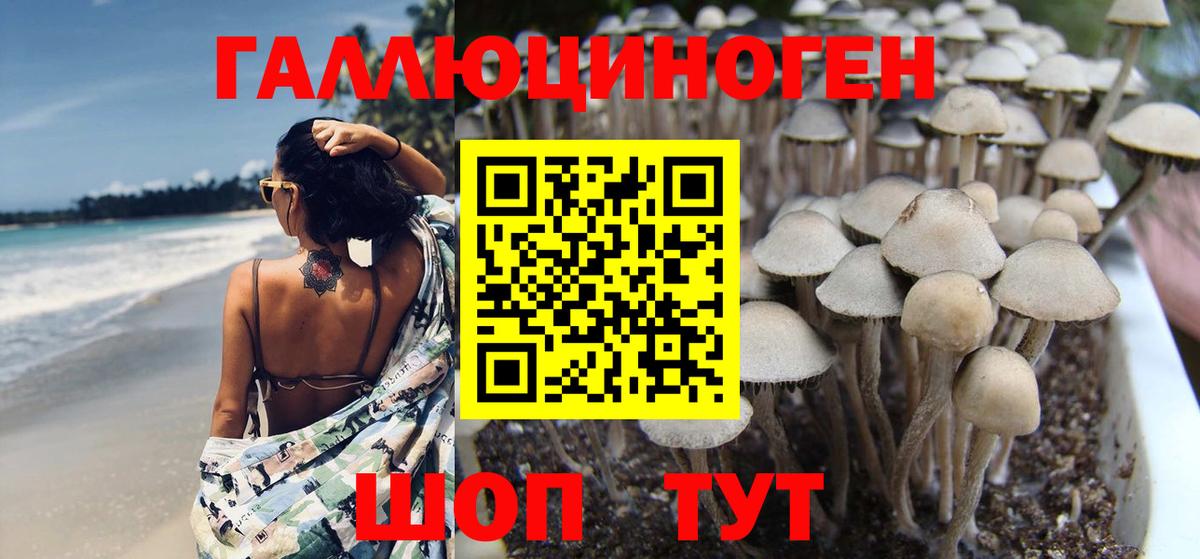 Галлюциногенные грибы ЛСД  Галлюциногенные грибы мухоморы  Вход с VPN  как найти   Добрянка 