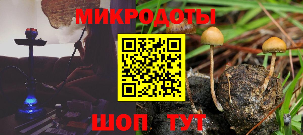 Псилоцибиновые грибы Psilocybine cubensis Добрянка